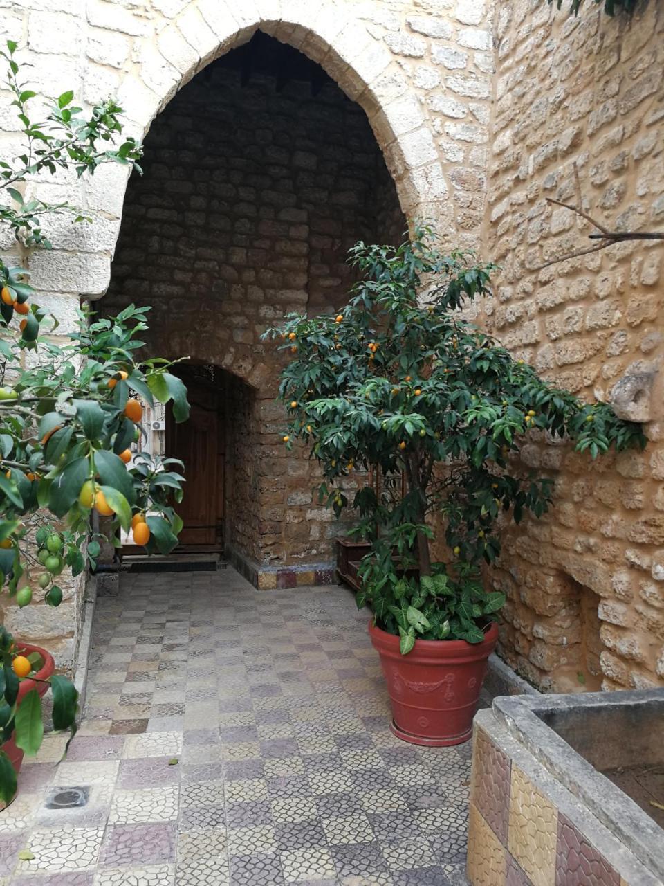 티레 Dar Camelia B&B 외부 사진