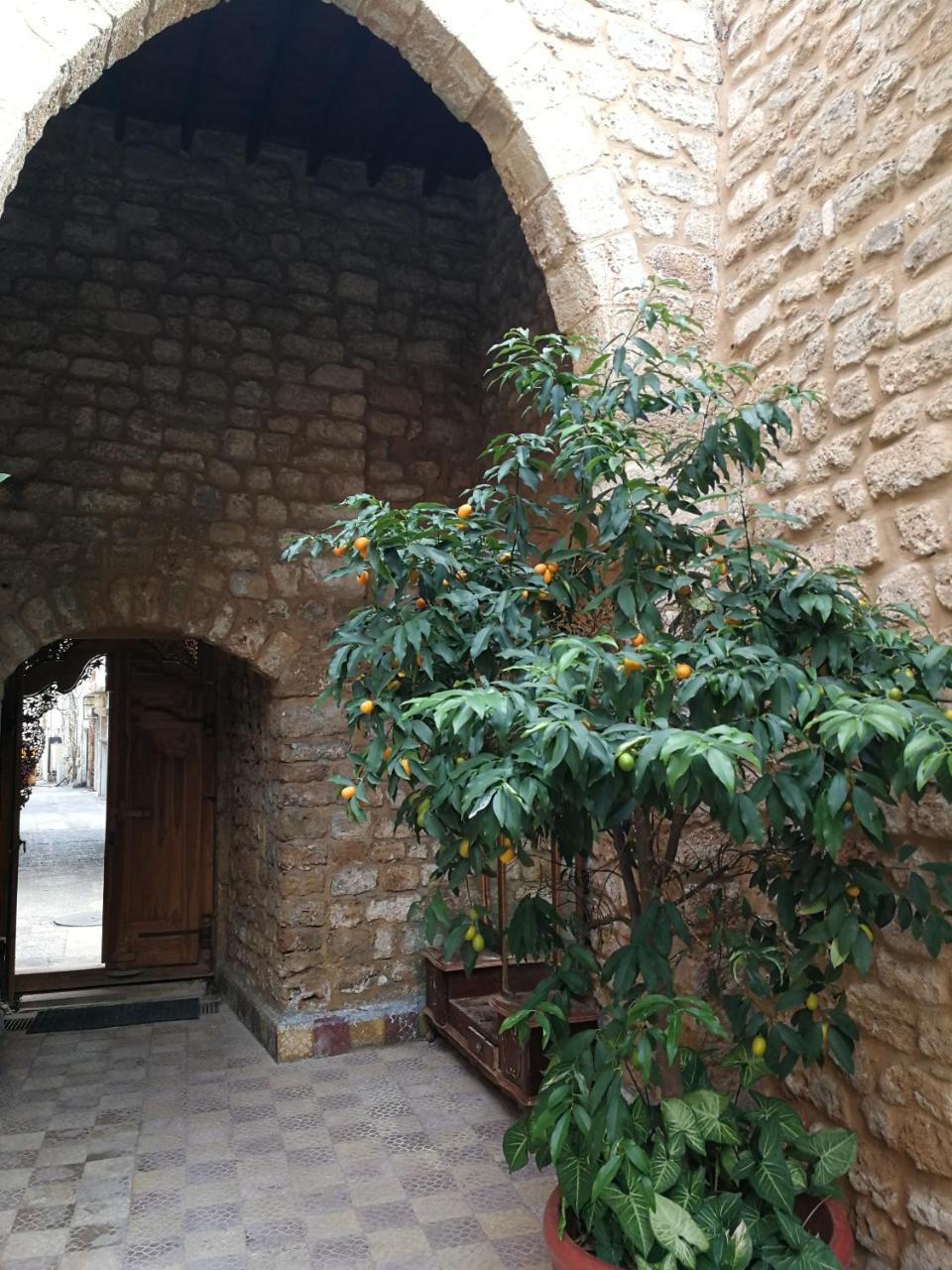 티레 Dar Camelia B&B 외부 사진